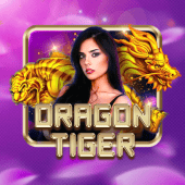 Dragon Tiger on Table Plus live casino
